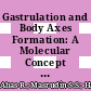 Gastrulation and Body Axes Formation: A Molecular Concept and Its Clinical Correlates