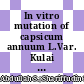 In vitro mutation of capsicum annuum L.Var. Kulai by gamma radiation