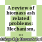 A review of biomass ash related problems: Mechanism, solution, and outlook