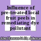 Influence of pre-treated local fruit peels in remediating dye pollutant