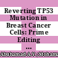 Reverting TP53 Mutation in Breast Cancer Cells: Prime Editing Workflow and Technical Considerations