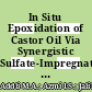 In Situ Epoxidation of Castor Oil Via Synergistic Sulfate-Impregnated ZSM-5 as Catalyst