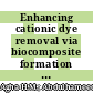 Enhancing cationic dye removal via biocomposite formation between chitosan and food grade algae: Optimization of algae loading and adsorption parameters