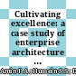 Cultivating excellence: a case study of enterprise architecture transformational journey in higher education