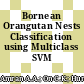 Bornean Orangutan Nests Classification using Multiclass SVM