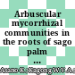 Arbuscular mycorrhizal communities in the roots of sago palm in mineral and shallow peat soils