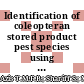 Identification of coleopteran stored product pest species using discriminant analysis