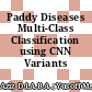 Paddy Diseases Multi-Class Classification using CNN Variants