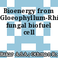 Bioenergy from Gloeophyllum-Rhizopus fungal biofuel cell