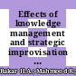 Effects of knowledge management and strategic improvisation on SME performance in Malaysia