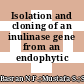 Isolation and cloning of an inulinase gene from an endophytic bacteria