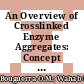 An Overview of Crosslinked Enzyme Aggregates: Concept of Development and Trends of Applications
