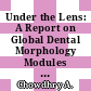 Under the Lens: A Report on Global Dental Morphology Modules [Bajo la Lupa: Un Reporte sobre los Módulos de Morfología Dental a Nivel Global]