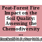 Peat-Forest Fire Impact on the Soil Quality: Assessing the Chemodiversity of Organic Matter Extracted from Tropical Malaysian Peat Swamp Forest Soil