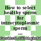 How to select healthy sperm for intracytoplasmic sperm injection in samples with high sperm DNA fragmentation?