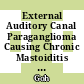 External Auditory Canal Paraganglioma Causing Chronic Mastoiditis with Complications of Bezold and Luc's Abscesses