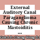 External Auditory Canal Paraganglioma Causing Chronic Mastoiditis with Complications of Bezold and Luc’s Abscesses
