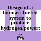 Design of a biomass-fueled system to produce hydrogen/power: Environmental analyses and Bi-objective optimization