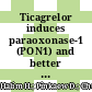 Ticagrelor induces paraoxonase-1 (PON1) and better protects hypercholesterolemic mice against atherosclerosis compared to clopidogrel