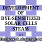 DEVELOPMENT OF DYE-SENSITIZED SOLAR CELLS STEAM LEARNING PROTOTYPE FOR SUPPORTING EDUCATIONAL FOR SUSTAINABLE DEVELOPMENT