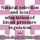 Natural selection and local adaptation of blood pressure regulation and their perspectives on precision medicine in hypertension