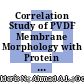 Correlation Study of PVDF Membrane Morphology with Protein Adsorption: Quantitative Analysis by FTIR/ATR Technique