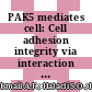 PAK5 mediates cell: Cell adhesion integrity via interaction with E-cadherin in bladder cancer cells