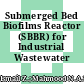 Submerged Bed Biofilms Reactor (SBBR) for Industrial Wastewater Treatment