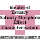 Idealised Estuary Salinity-Morphology Effect Characterisation Investigation