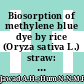 Biosorption of methylene blue dye by rice (Oryza sativa L.) straw: Adsorption and mechanism study