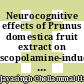 Neurocognitive effects of Prunus domestica fruit extract on scopolamine-induced amnesic mice