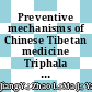 Preventive mechanisms of Chinese Tibetan medicine Triphala against nonalcoholic fatty liver disease