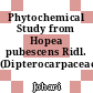 Phytochemical Study from Hopea pubescens Ridl. (Dipterocarpaceae)