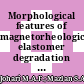 Morphological features of magnetorheological elastomer degradation under a natural weathering environment