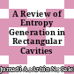 A Review of Entropy Generation in Rectangular Cavities