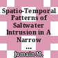 Spatio-Temporal Patterns of Saltwater Intrusion in A Narrow Meandering Channel