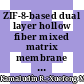 ZIF-8-based dual layer hollow fiber mixed matrix membrane for natural gas purification