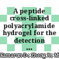 A peptide cross-linked polyacrylamide hydrogel for the detection of human neutrophil elastase