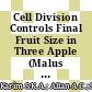Cell Division Controls Final Fruit Size in Three Apple (Malus x domestica) Cultivars