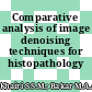 Comparative analysis of image denoising techniques for histopathology images