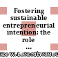 Fostering sustainable entrepreneurial intention: the role of institutional factors