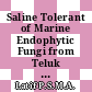 Saline Tolerant of Marine Endophytic Fungi from Teluk Kemang Malaysia – A Rich Source of Bioactive Material