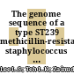 The genome sequence of a type ST239 methicillin-resistant staphylococcus aureus isolate from a Malaysian hospital