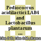 Pediococcus acidilactici LAB4 and Lactobacillus plantarum LAB12 assimilate cholesterol and modulate ABCA1, CD36, NPC1L1 and SCARB1 in vitro