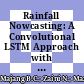 Rainfall Nowcasting: A Convolutional LSTM Approach with Various Grayscale Representations of Weather Radar Images