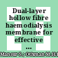 Dual-layer hollow fibre haemodialysis membrane for effective uremic toxins removal with minimal blood-bacteria contamination