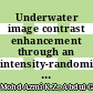 Underwater image contrast enhancement through an intensity-randomised approach incorporating a swarm intelligence technique with unsupervised dual-step fusion