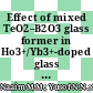 Effect of mixed TeO2–B2O3 glass former in Ho3+/Yb3+-doped glass system: Raman spectroscopy, Judd-Ofelt and luminescence investigations