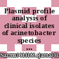 Plasmid profile analysis of clinical isolates of acinetobacter species in Malaysia