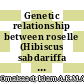 Genetic relationship between roselle (Hibiscus sabdariffa L.) and kenaf (Hibiscus cannabinus L.) accessions through optimization of PCR based RAPD method